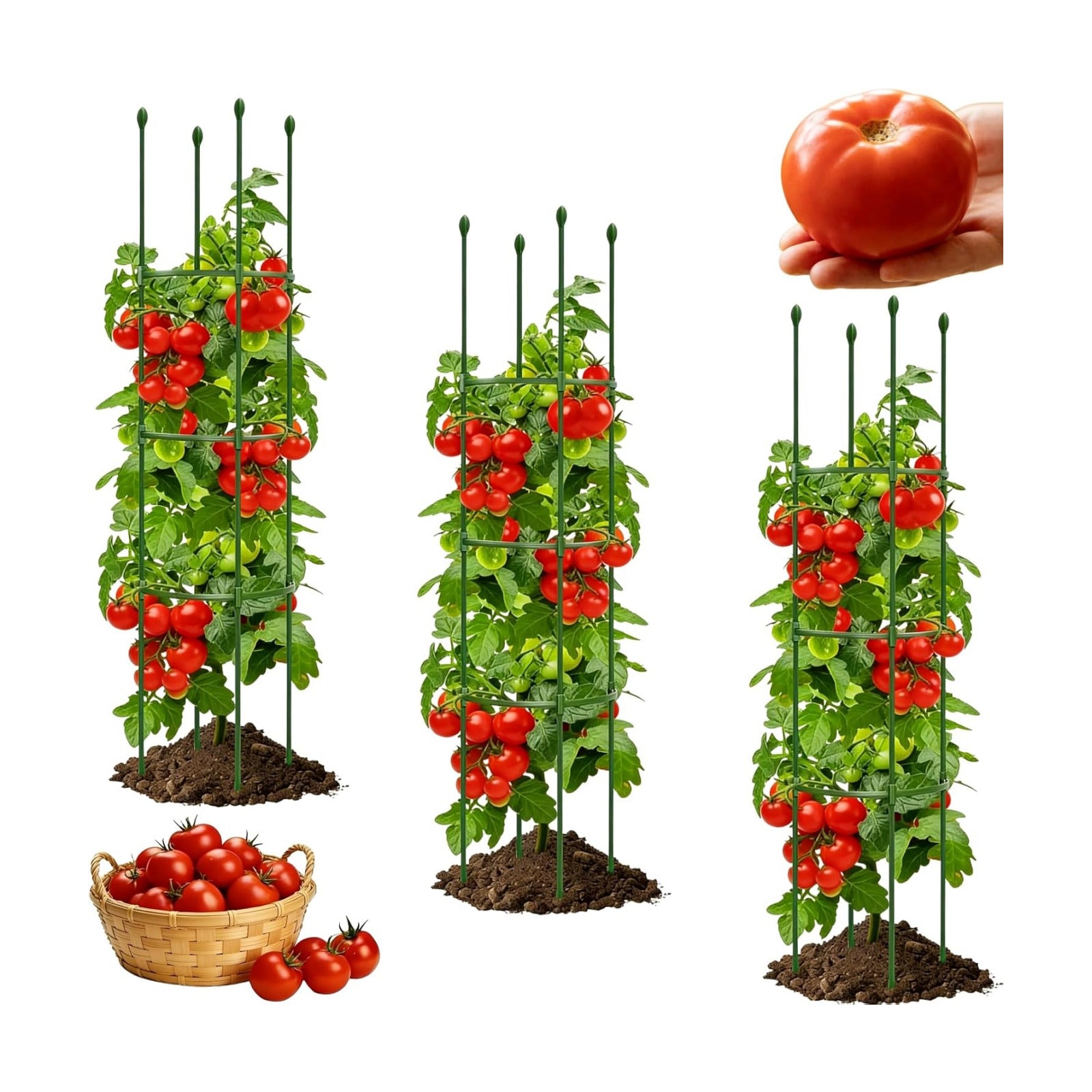3 Pack Heavy Duty Tomato Cages for Garden, 59 Inch Tall Adjustable Metal Tomato Plant Support for Pots, Round Trellis