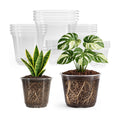 Bluepro Clear Nursery Pots with Drainage, 3.5/4/5/6/8 Inch, 20-Pack | Clear PET, 4 Each of Five Sizes, Root and