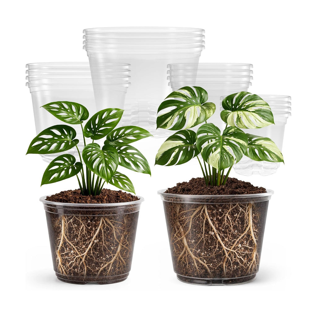 Bluepro Clear Nursery Pots with Drainage Holes, 5/6/8/10 Inch, 16-Pack | Clear PET, 4 Each of Four Large Sizes, Root