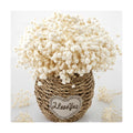 2500+ Mini Dried Baby's Breath Flowers Ivory White for Wedding Decor