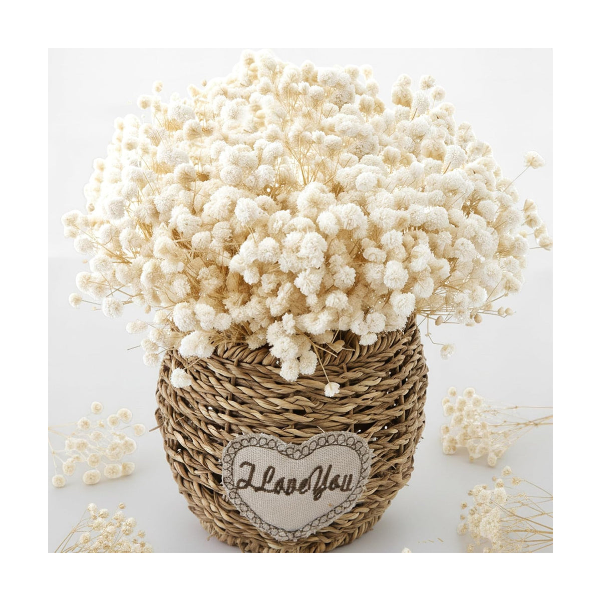 2500+ Mini Dried Baby's Breath Flowers Ivory White for Wedding Decor