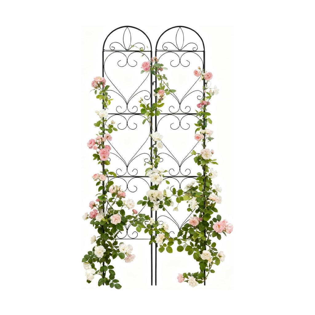 2 Pack Garden Trellis, Metal Trellis for Outdoor Climbing Plants | Sturdy Plant Support Frame for Roses, Vines &