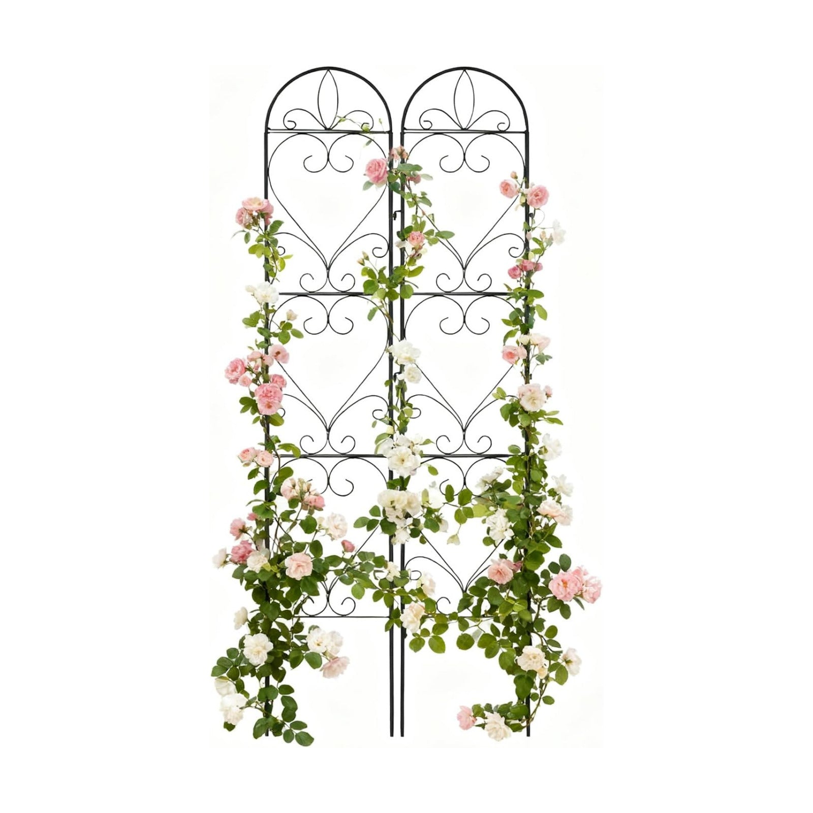 2 Pack Garden Trellis, Metal Trellis for Outdoor Climbing Plants | Sturdy Plant Support Frame for Roses, Vines &