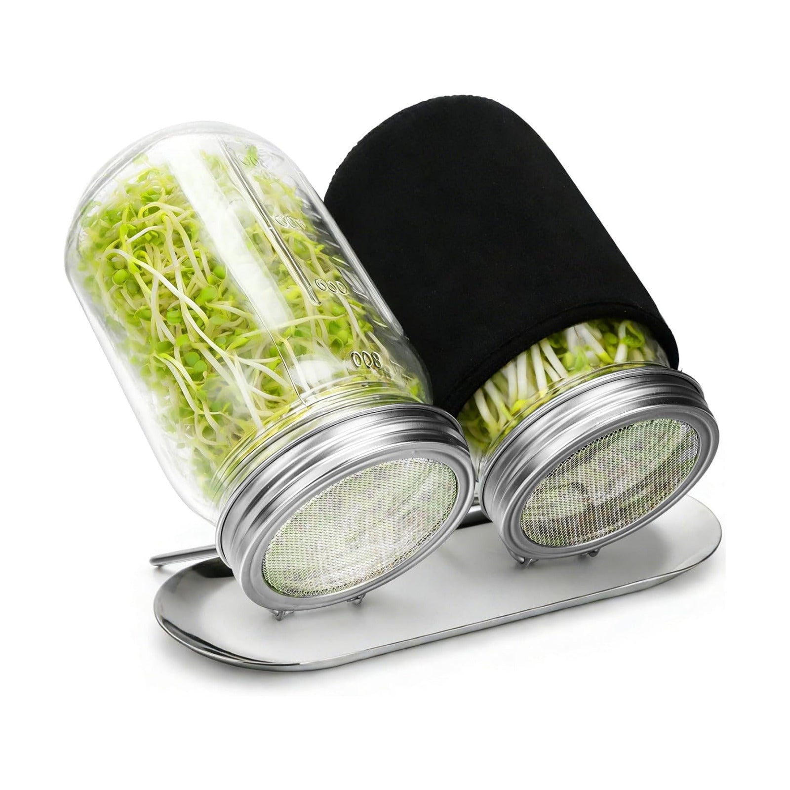 Palksky Sprouting Kit with Stainless Steel Screen Sprouting Lids & Glass Mason Jars & Light-Blocking Sleeves, 2Pack