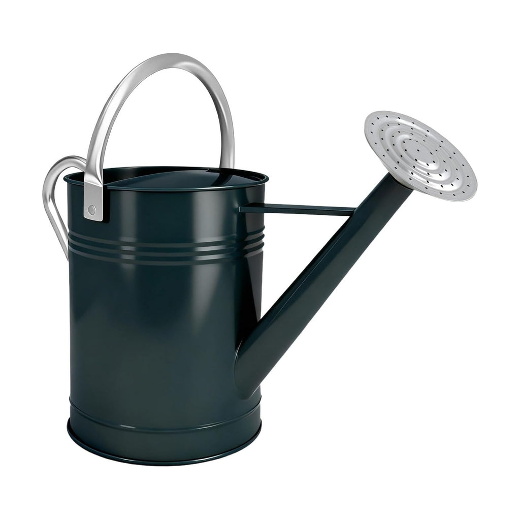 Galvanized Iron Watering Can for Indoor Plants, DIY Watering Cans for House Plant Garden Flower, Long Spout Water Can