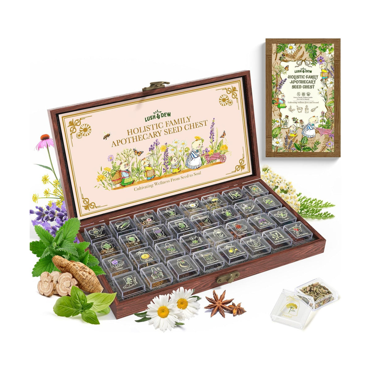 Lush&Dew Holistic Family Apothecary Seed Chest, 30000+ Medicinal Herb Seeds