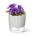 Self Watering Pots for Indoor Plants, 4 Inch Self Watering Flower Pots