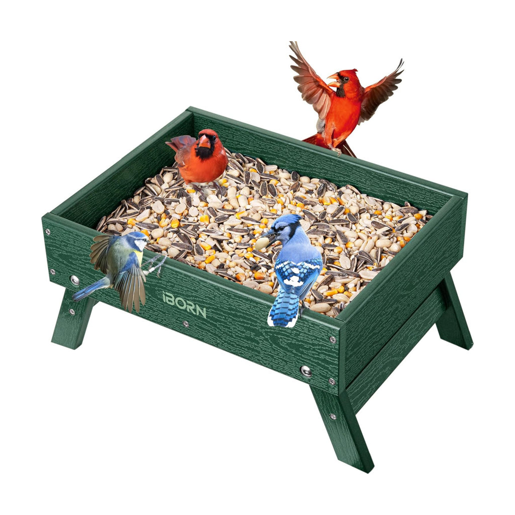 iBorn Ground Bird Feeder, Bird & Squirrel Platform Feeder for Outdoors, WPC Recycled Plastic, 3LB Large Capacity, Green