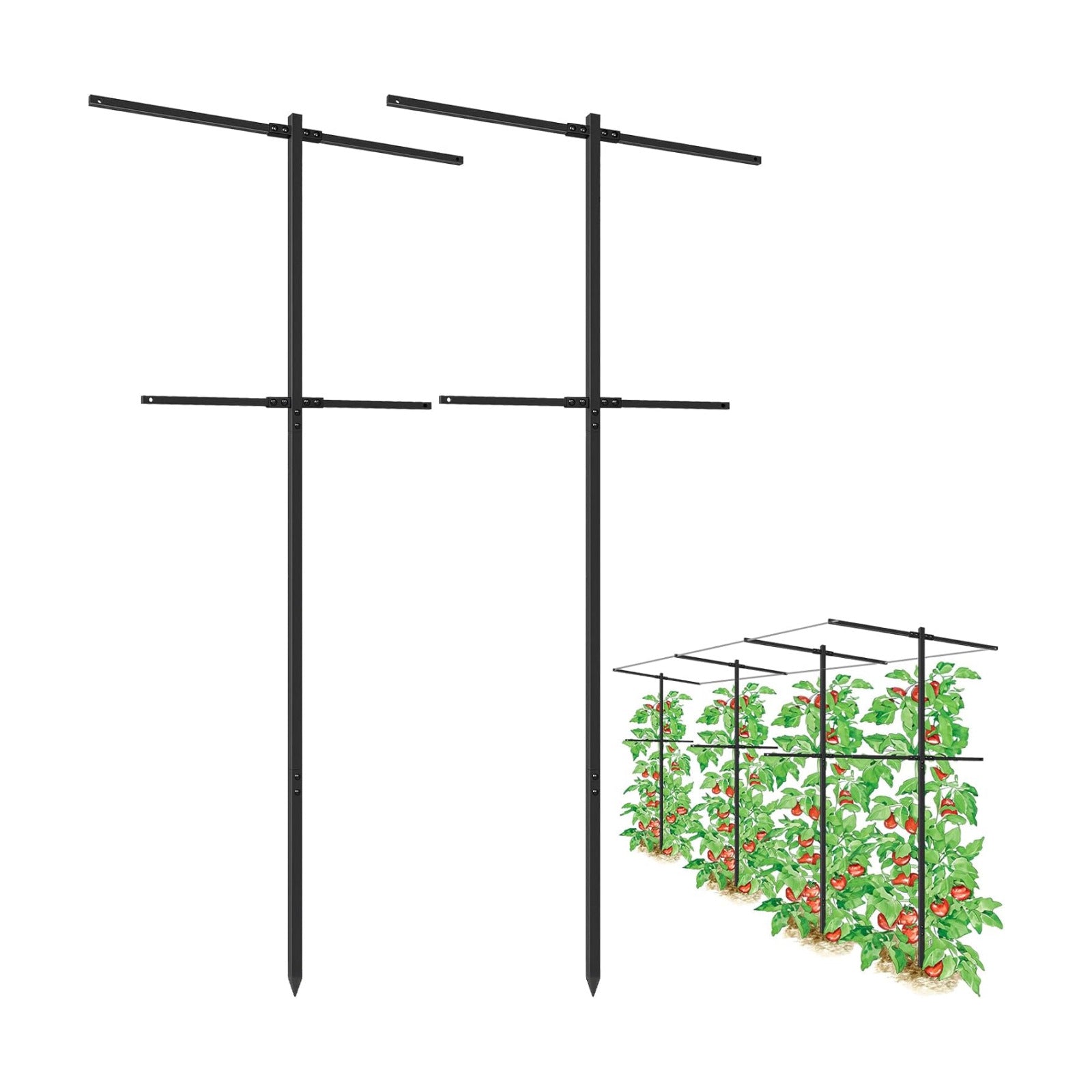 2 Pack Metal Detachable Raspberry & Grape Vine Trellis for Climbing Plants, Heavy-Duty 7 Ft Tall Large Vineyard Trellis