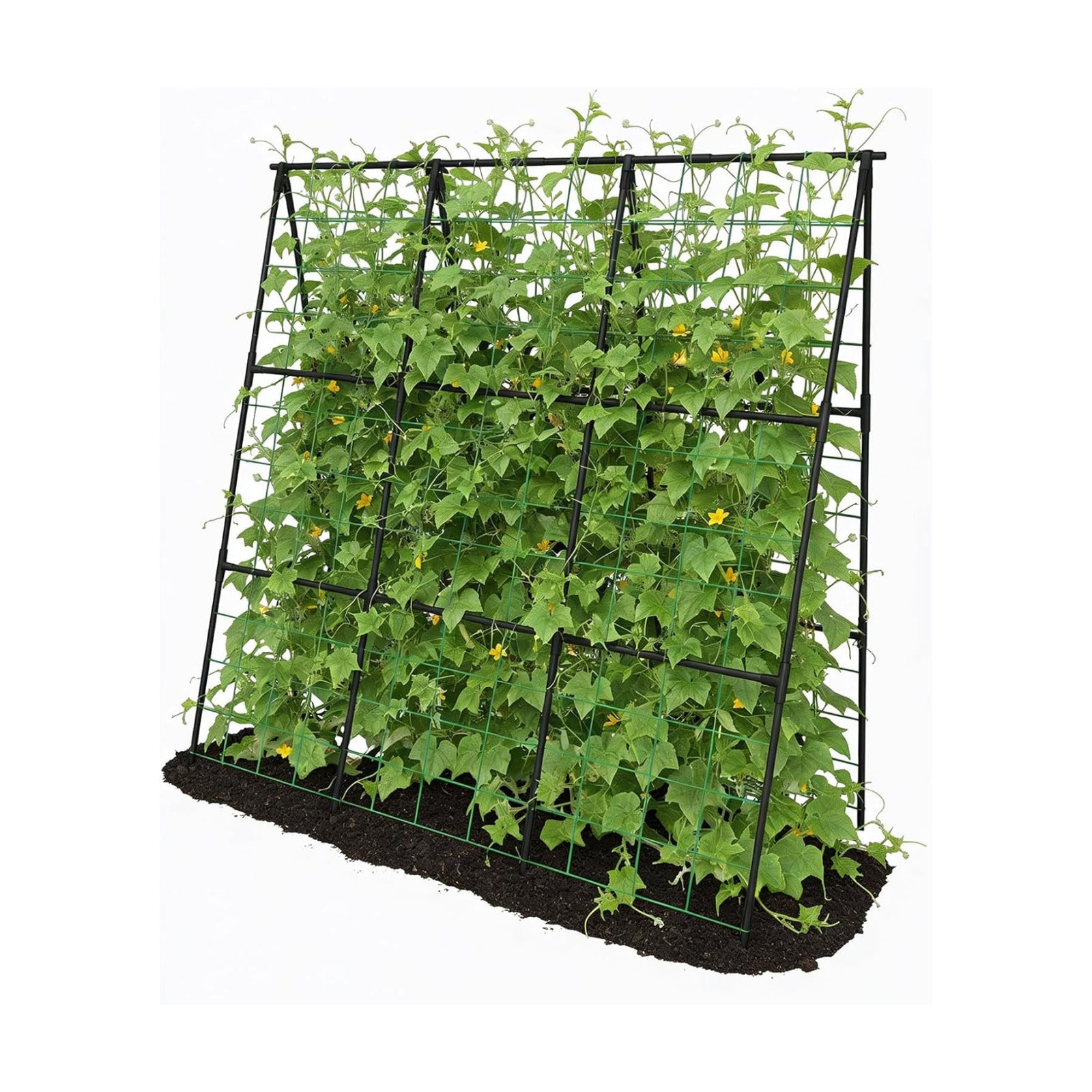 Cucumber Trellis - 49.4"*49.4" Metal Garden Trellis for Climbing Plants, Garden Trellis with Plastic-Coated Steel Pipe