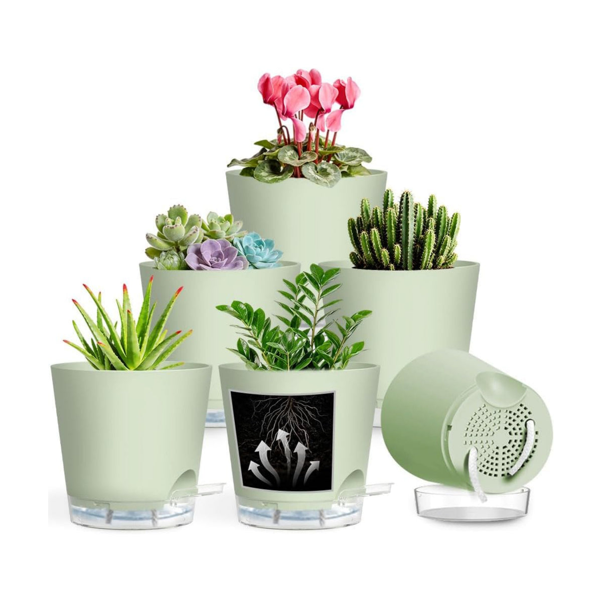Self Watering Pots for Plants, 2026 New Flower Plant Pots with Drainage Holes, Wicking and Clear Reservoirs for Succulent, Aloe, Cacti and Others - 6 Pack (Green, 5")