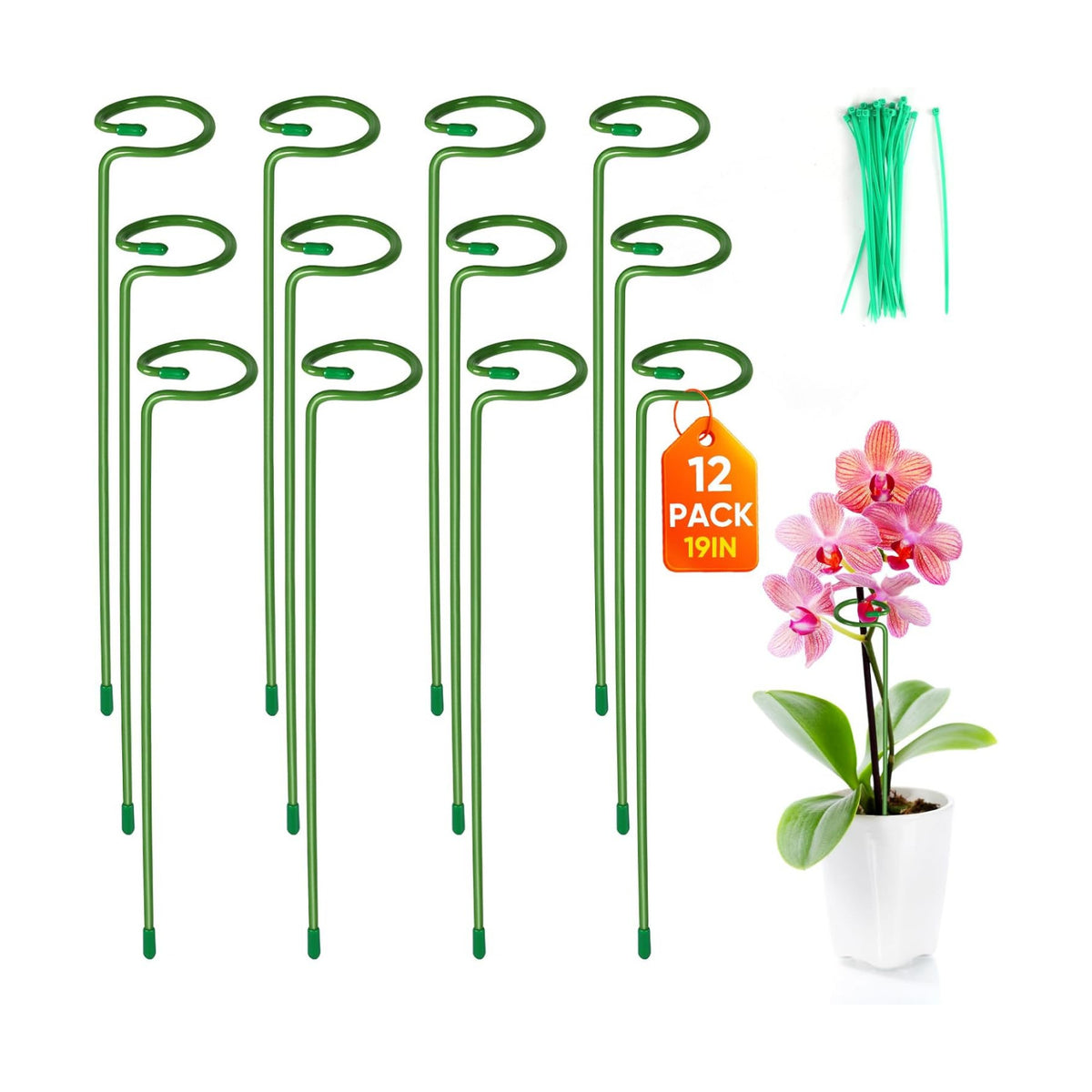 12 Pack Plant Support Stakes with 24 Pcs Plant Clips, Garden Single Stem Support Stake, Plant Cage Support Ring for Indoor Outdoor Flowers Rose Amaryllis Tomatoes Peony Lily Orchid