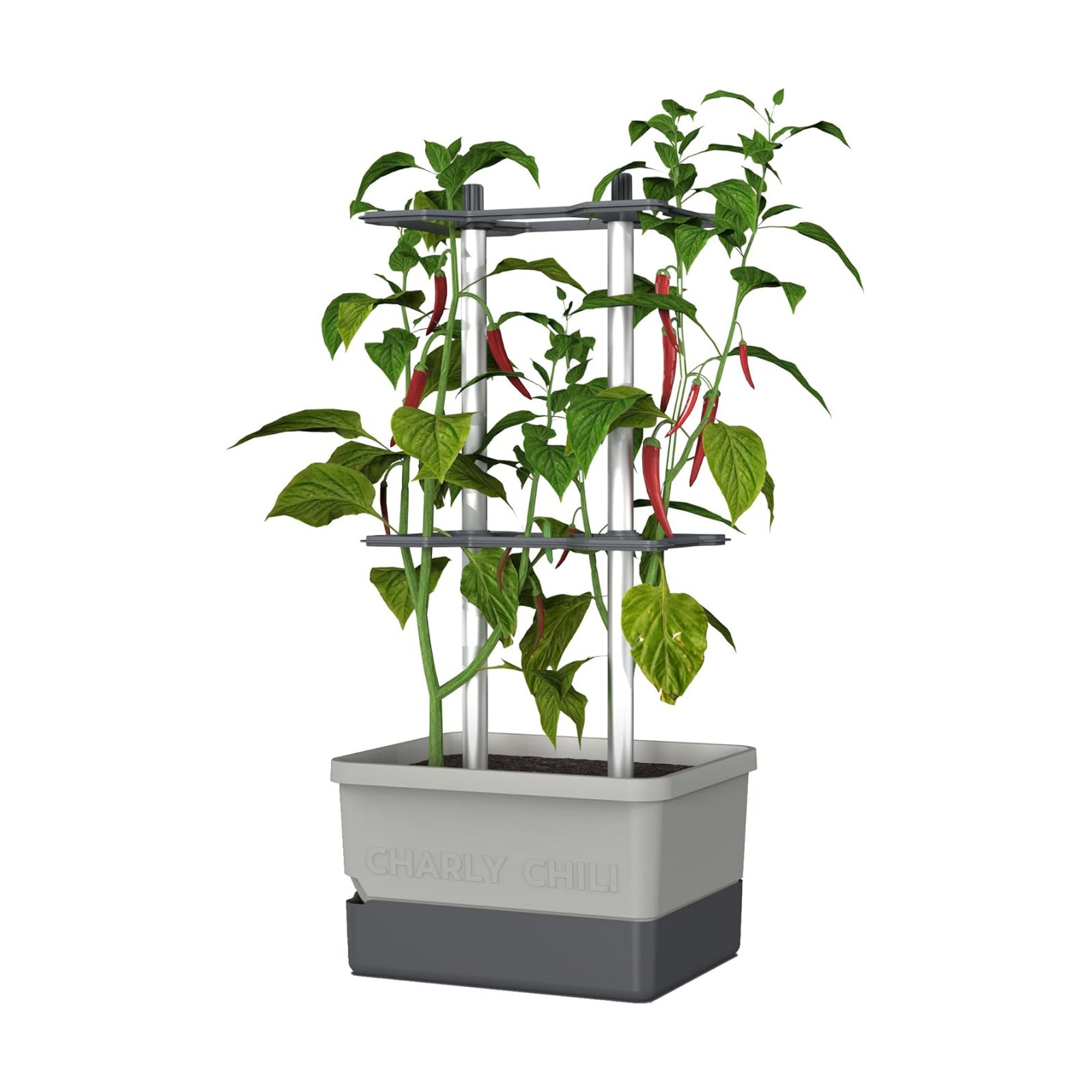 BUZZY Seeds Charly Chili Self-Watering Planter, Trellis, 1.2 Gal, Gray | Self-watering planter, aluminum trellis &