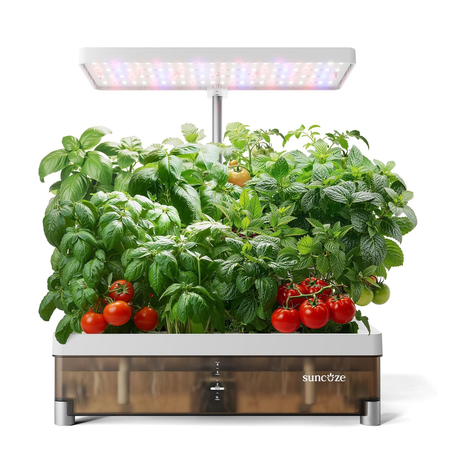 Hydroponics Growing System 13 Pods, with Dimmable Light | 4L Visible Water Tank, Adjustable Height to 12.8 in, Digital