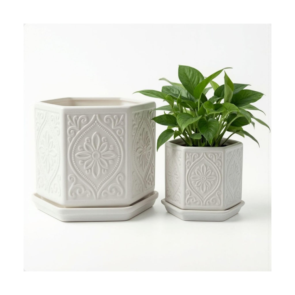 Ceramic Pots for Plants Set of 2, 6-Inch & 4-Inch Wide w/ Drainage & Saucer | Thick Durable Ceramic Pots with Matching