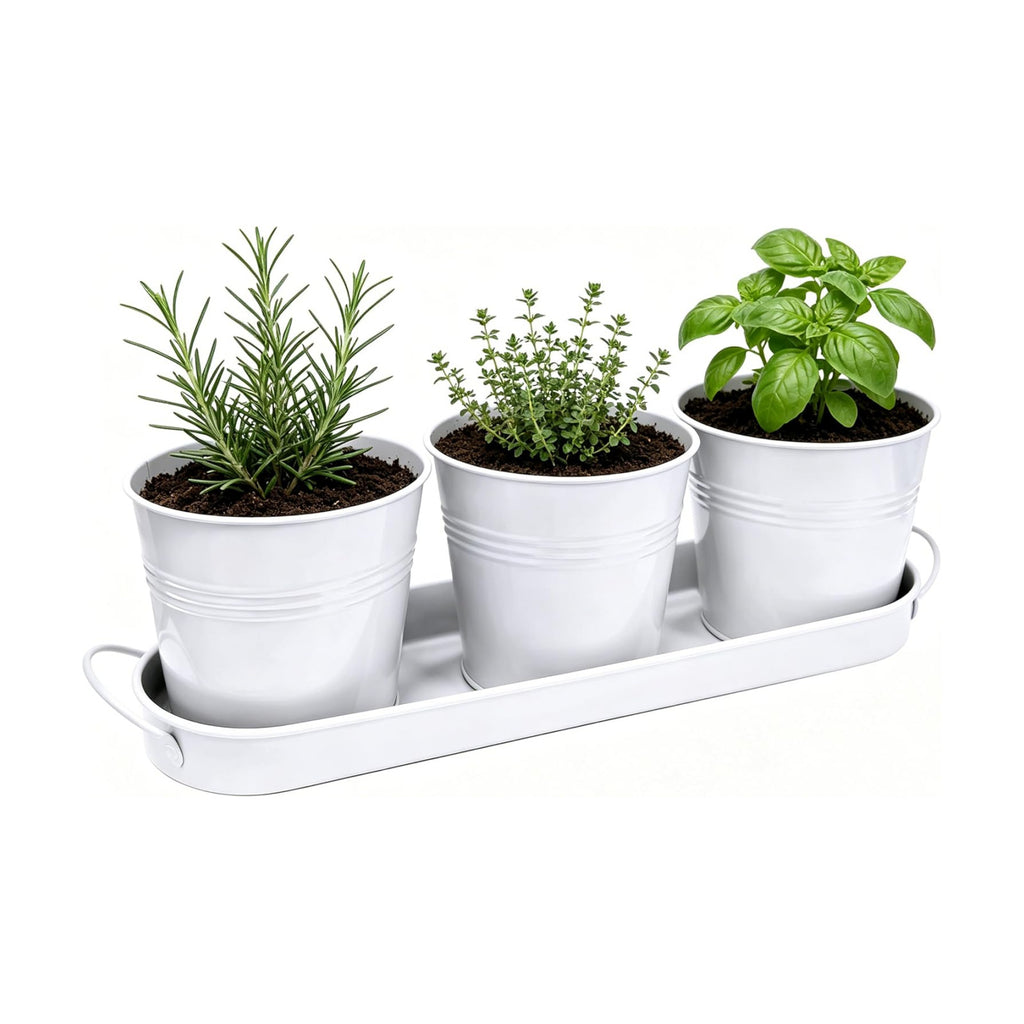 TCBWFY Indoor Herb Garden Planter Set - 3 Pack 4.7" White Metal Plant Pots with Drainage Holes & Removable Tray - Windowsill Kitchen Counter Balcony Office Garden
