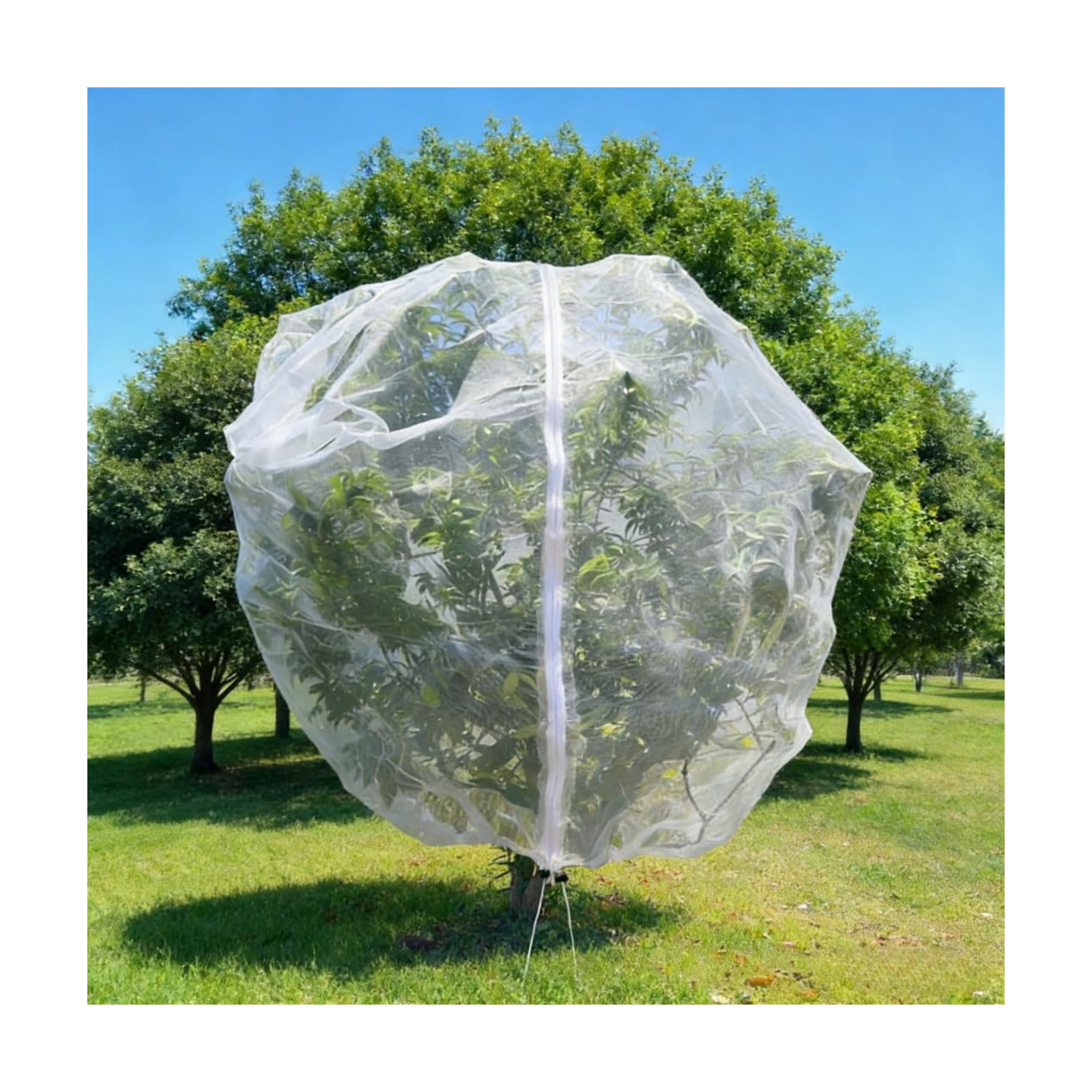 1 Pack 13x13ft Extra Large Fruit Tree Netting with Double Zipper & Double Drawstring, Heavy Duty Bird Netting for Fruit