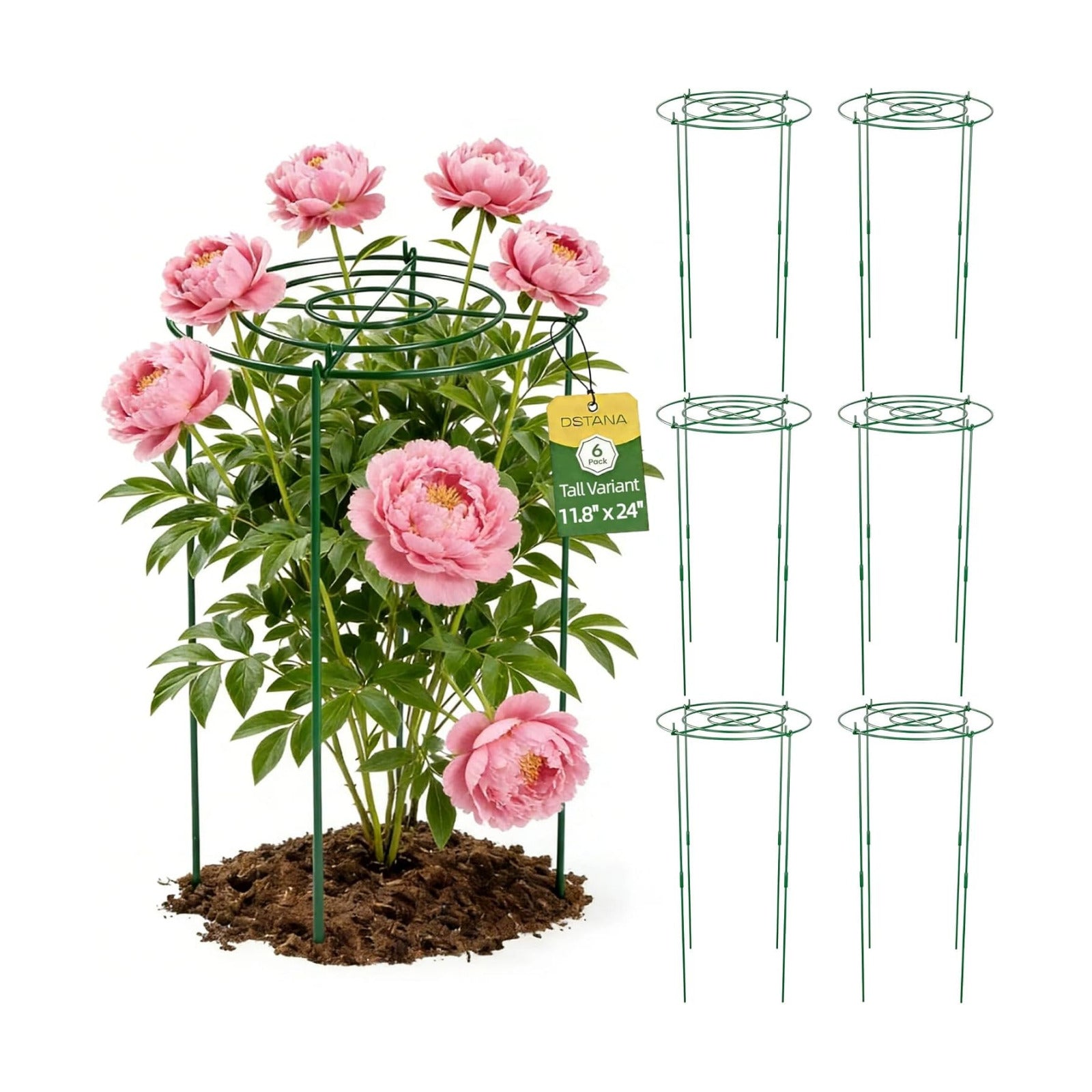 6 Pack Peony Cages and Supports, 12" x 24" Tall Peonies Support Cage | Heavy Duty Metal Peony Stakes and Supports for