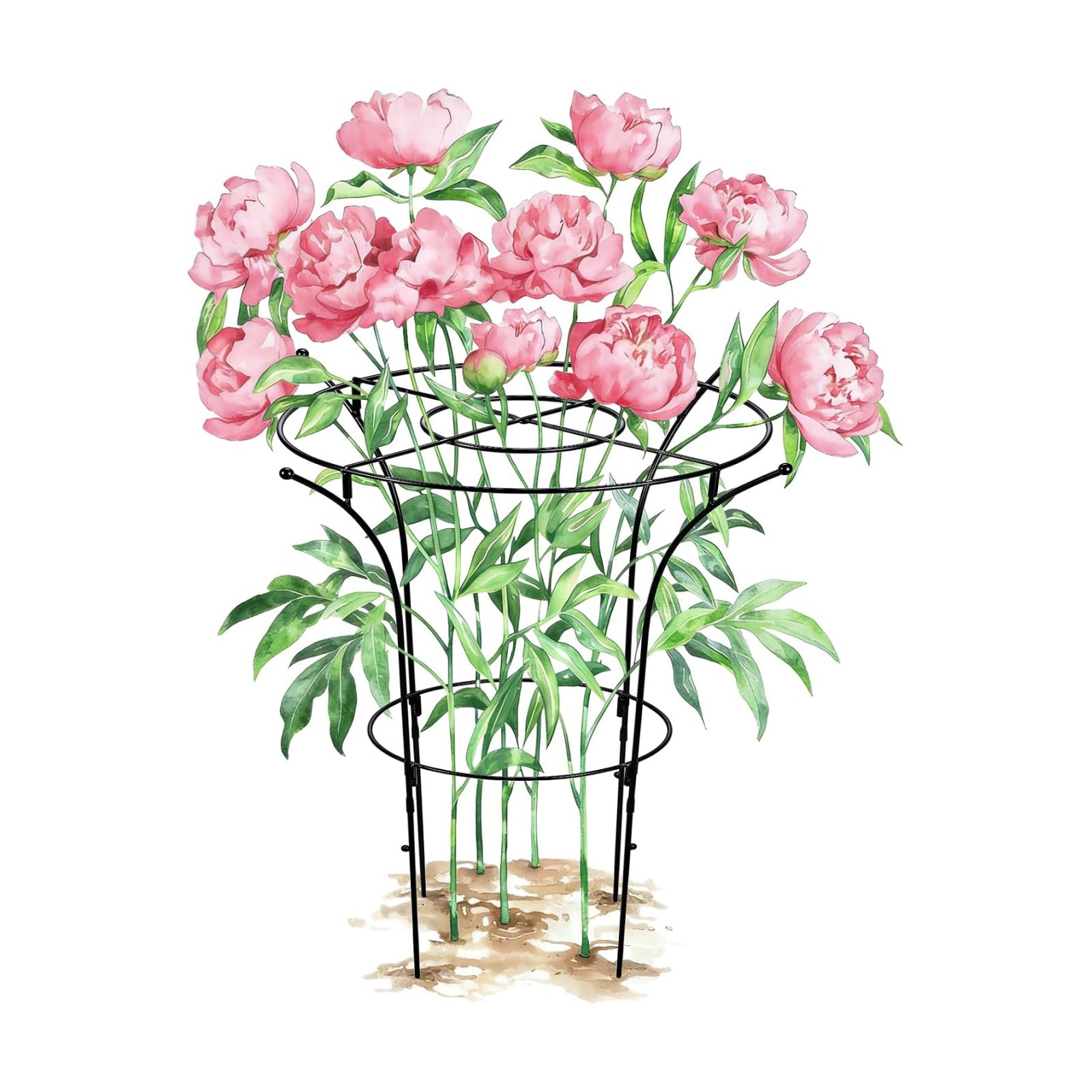 1 Pack Metal Peony Plant Support Cage, 32.2 x 19.2 Inch with Wide Top Ring | Grow-Through Flower Support for Peonies