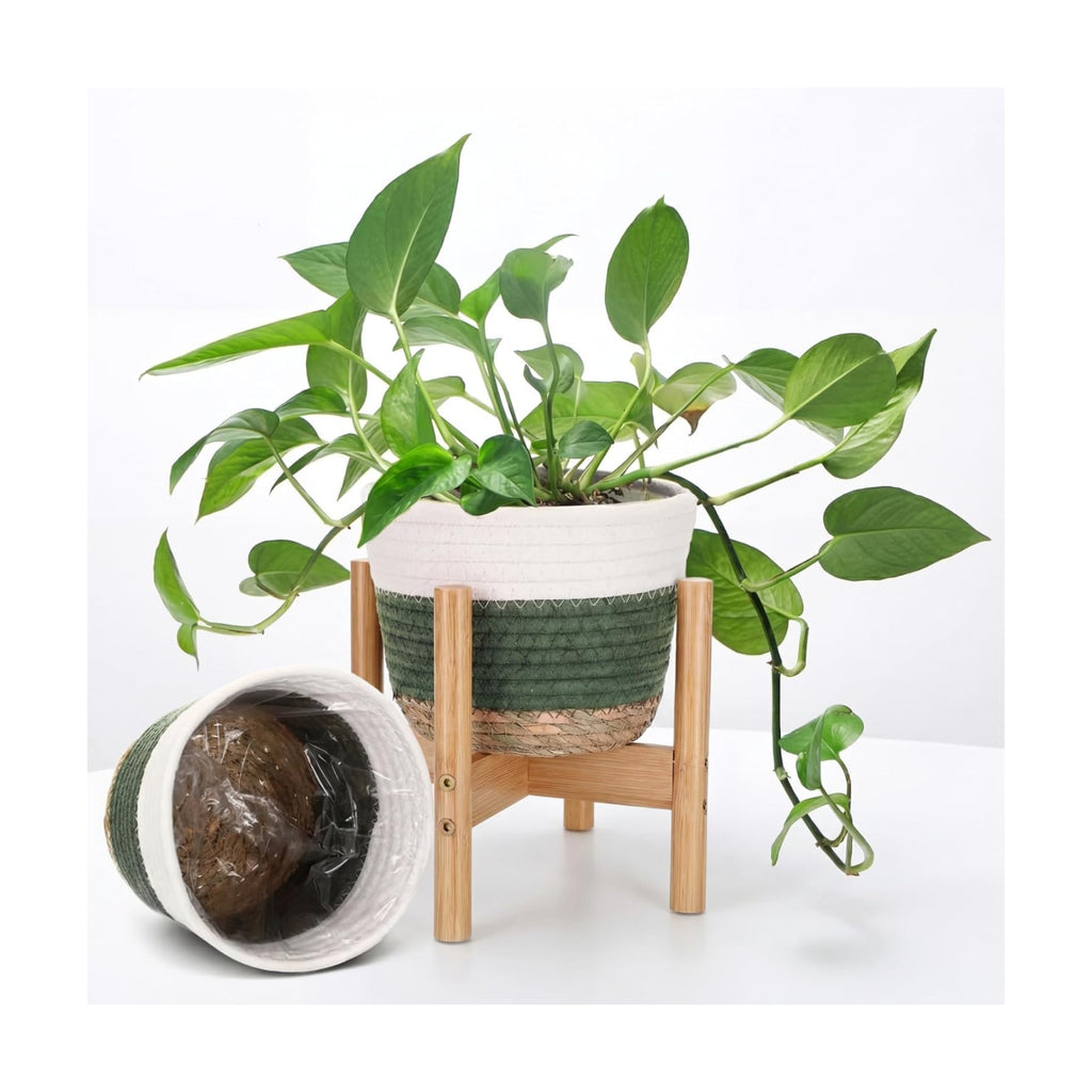 Remerry Plant Basket with Stand, Cotton Rope and Wicker Plants Baskets Indoor with Plastic Liner and Stand, Green White Woven Flower Pot for Indoor Home Living Room Floor Potted Decor(12inch)