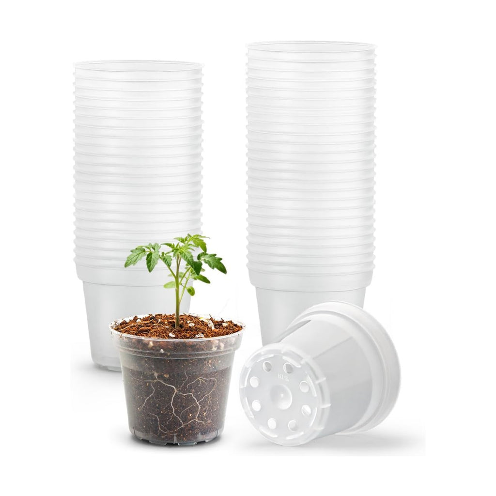 BTPLASTIK 50 Pack 3 Inch Clear Nursery Pots with Drainage Hole, Small Transparent Seed Starter Pots, Sturdy Plastic Plant Pot for Planting Seedlings Vegetables Flowers (3Inch-50P)