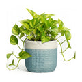 Ceramic Pots for Plants - 6 Inch Plant Pot for Indoor Succulent Plants, Round Planters with Drainage Hole, Decorative