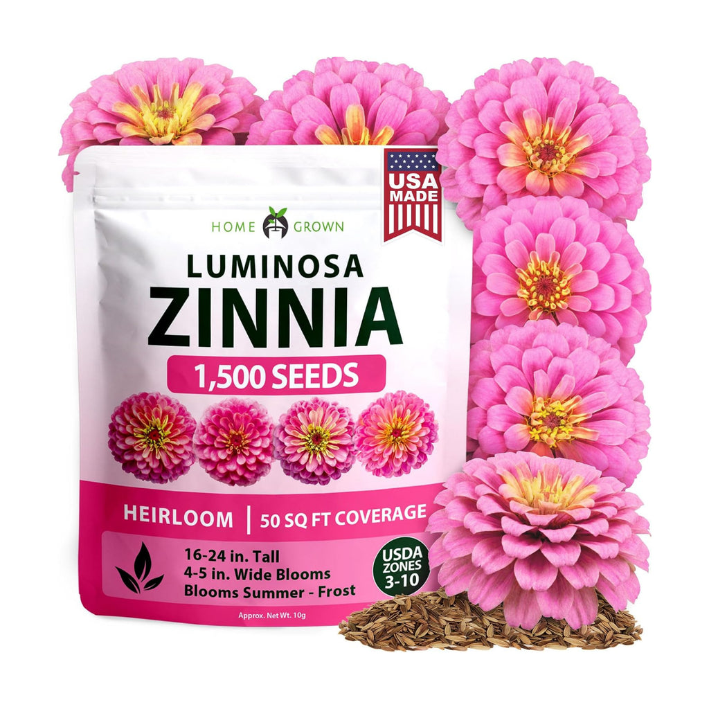 HOME GROWN Zinnia Seeds, Luminosa Pink, 1,500 Seeds, Zinnia elegans