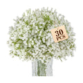 Sukh 30 Babys Breath Artificial Flowers - White Fake Gypsophila for Wedding