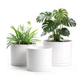 10/9/8 Inch Plant Pots 3 Pack, with Drainage Hole & Saucers | Cylindrical plastic planters with drainage holes &