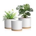 10/9/8 Inch Plant Pots 3 Pack, with Drainage Hole & Saucers | Cylindrical plastic planters with drainage holes &