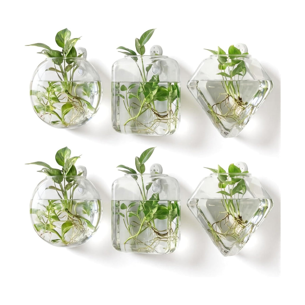 LemonRoad 6 Pcs Wall Hanging Glass Wall Hanging Planter Propagation Station Terrariums Clear Glass Vase Container for