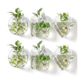 LemonRoad 6 Pcs Wall Hanging Glass Wall Hanging Planter Propagation Station Terrariums Clear Glass Vase Container for