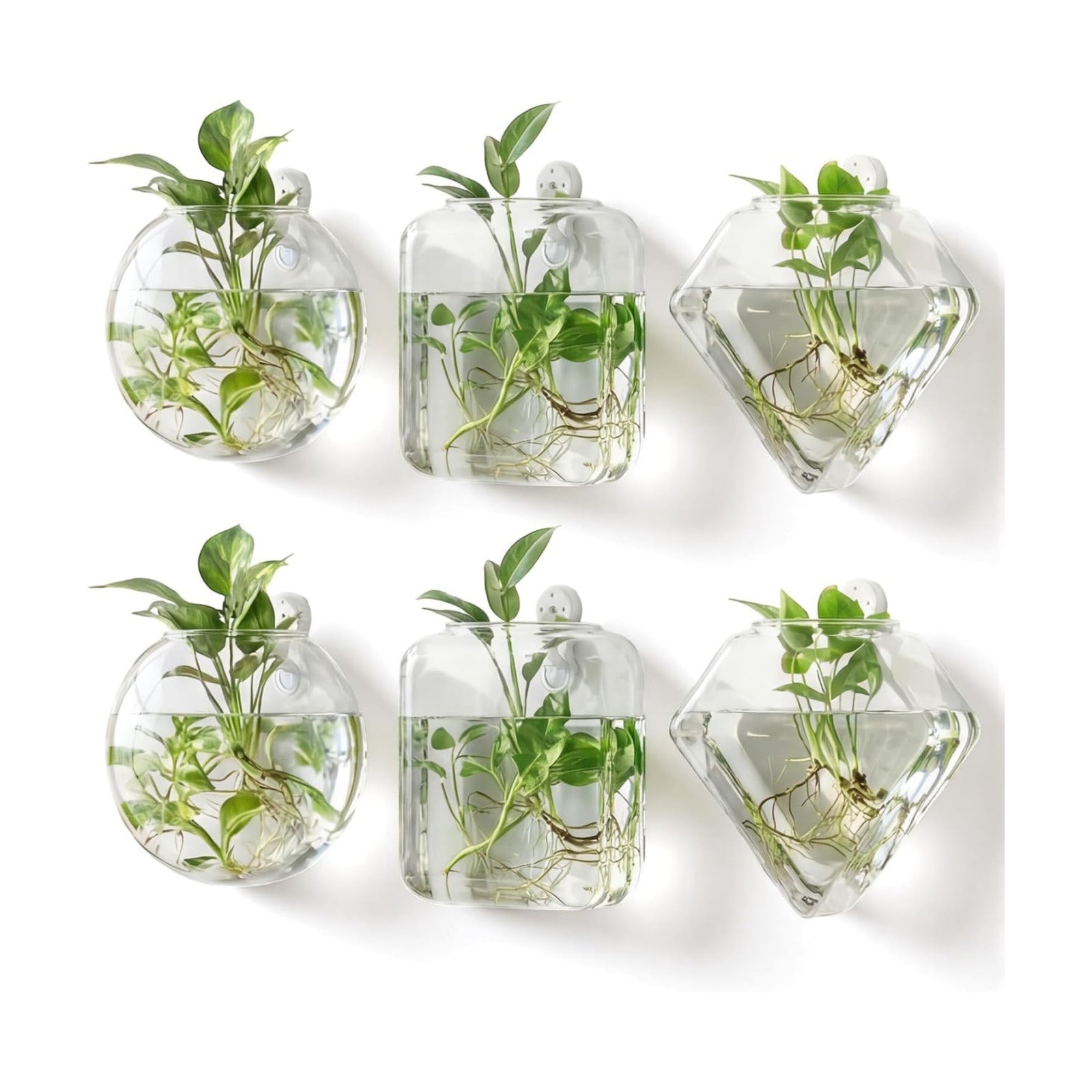 LemonRoad 6 Pcs Wall Hanging Glass Wall Hanging Planter Propagation Station Terrariums Clear Glass Vase Container for