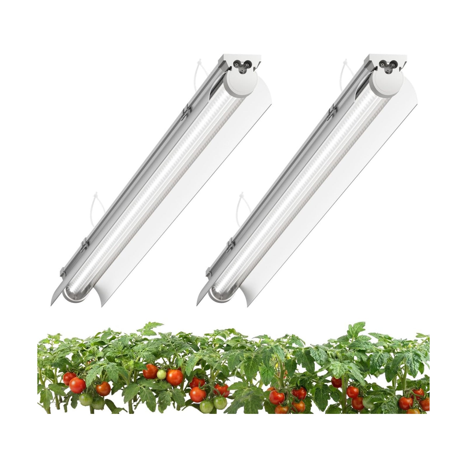 T8 Grow Light for Indoor Plants, 4FT, 42W, 5000K, 2 Pack, Linkable | Indoor Grow Light with Reflector, 2x42W High PPFD