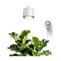 Barrina TR40 Hanging Plant Lights for Indoor Plant, 40W 4000K Full Spectrum