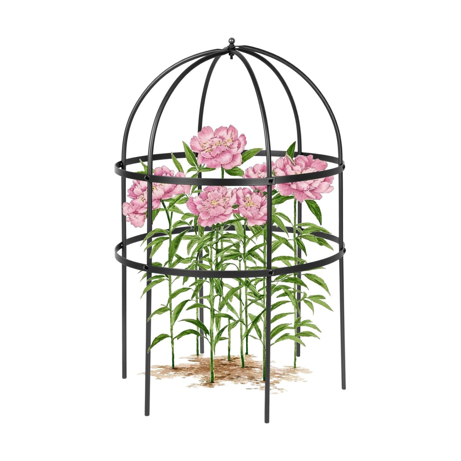 1 Pcs Jardin Bird Cage Plant Support 24" H Large Sturdy Grow-Through Flower Support Peony Cage Climbing Plant Support