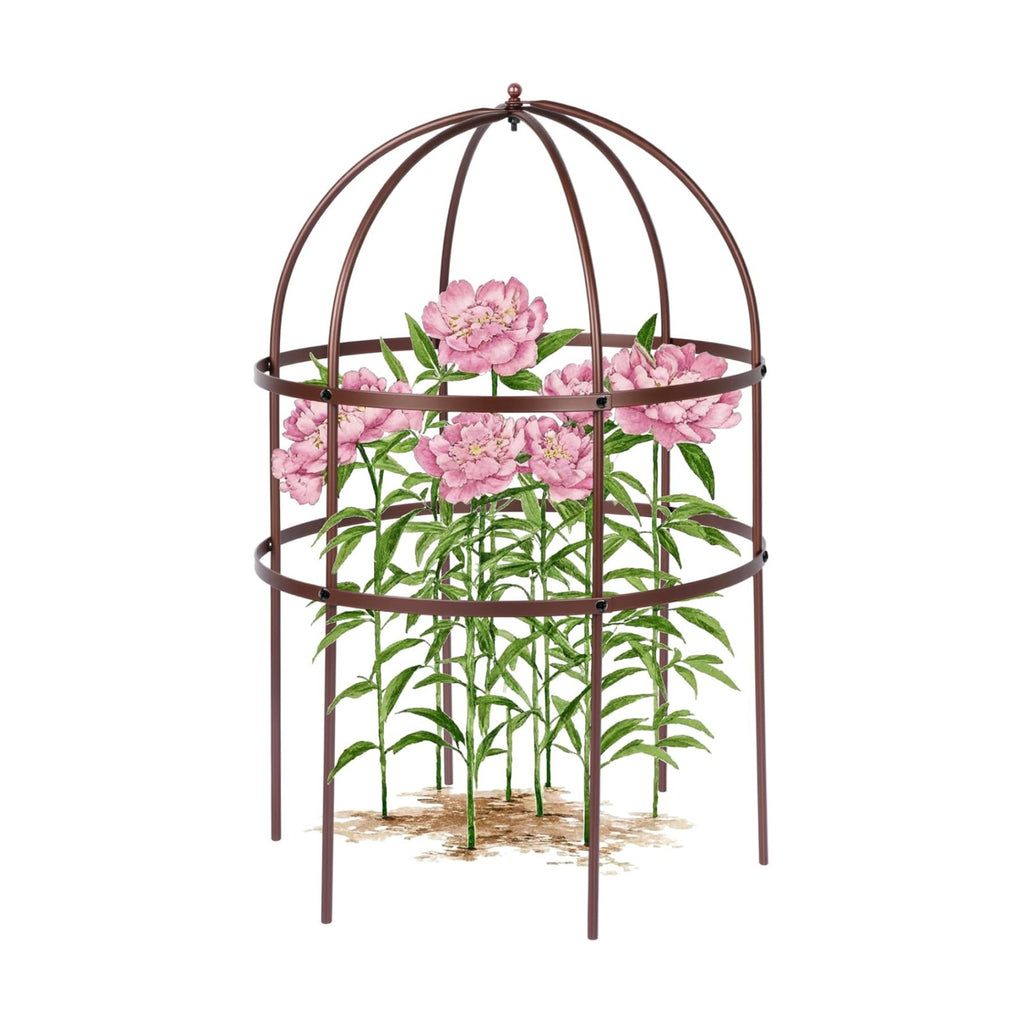 1 Pcs Jardin Bird Cage Plant Support 24" H Large Sturdy Grow-Through Flower Support Peony Cage Climbing Plant Support