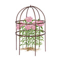 1 Pcs Jardin Bird Cage Plant Support 24" H Large Sturdy Grow-Through Flower Support Peony Cage Climbing Plant Support