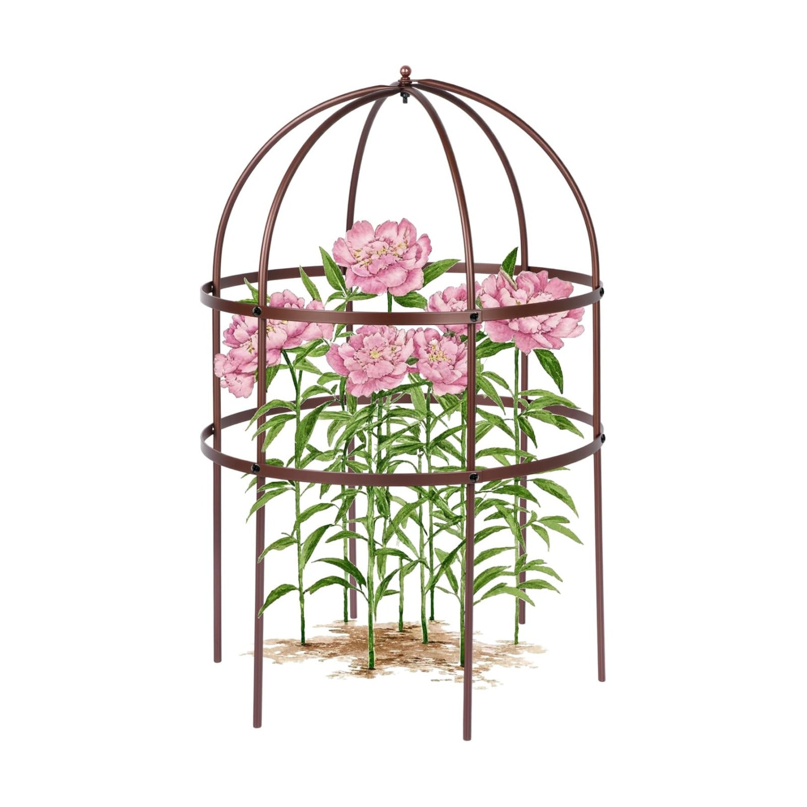 1 Pcs Jardin Bird Cage Plant Support 24" H Large Sturdy Grow-Through Flower Support Peony Cage Climbing Plant Support
