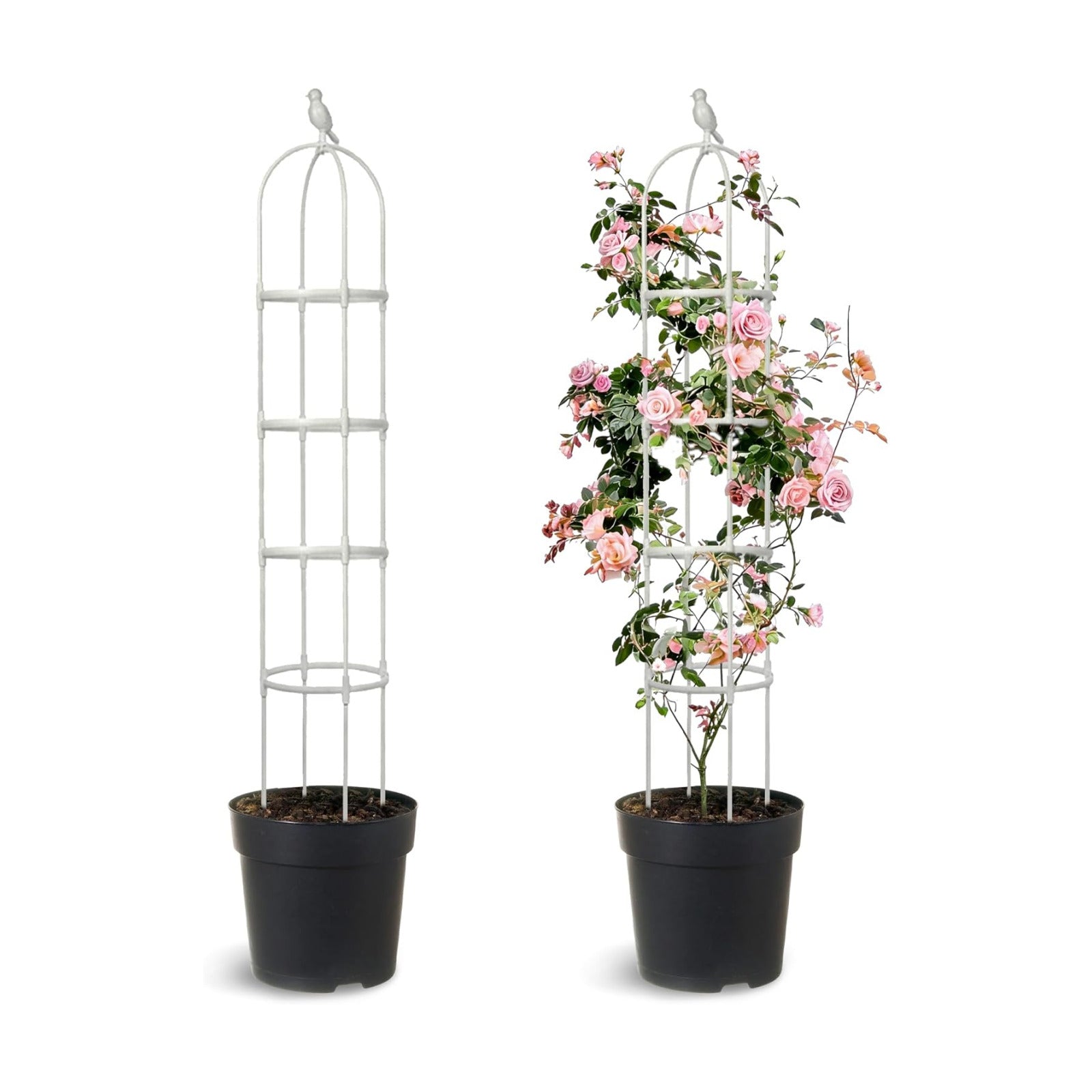 2 Pack Trellis for Climbing Planting Outdoor, 6ft Plant Trellis-Rustproof Metal Pipe with Heavy Duty Plastic Coated