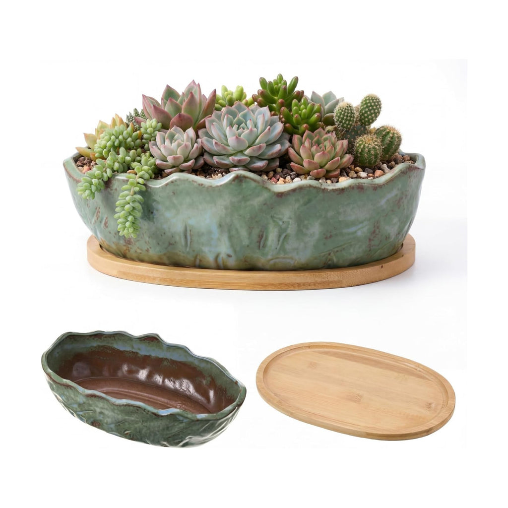 Succulent Pot 11 Inch Large Succulent Planters with Drainage Ceramic Bonsai Pot with Bamboo Tray Round Shallow Planter