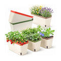 OurWarm Self Watering Pots for Indoor Plants, 6 Pack 10.5 Inch Plastic Window Herb Planter Box with Water Level