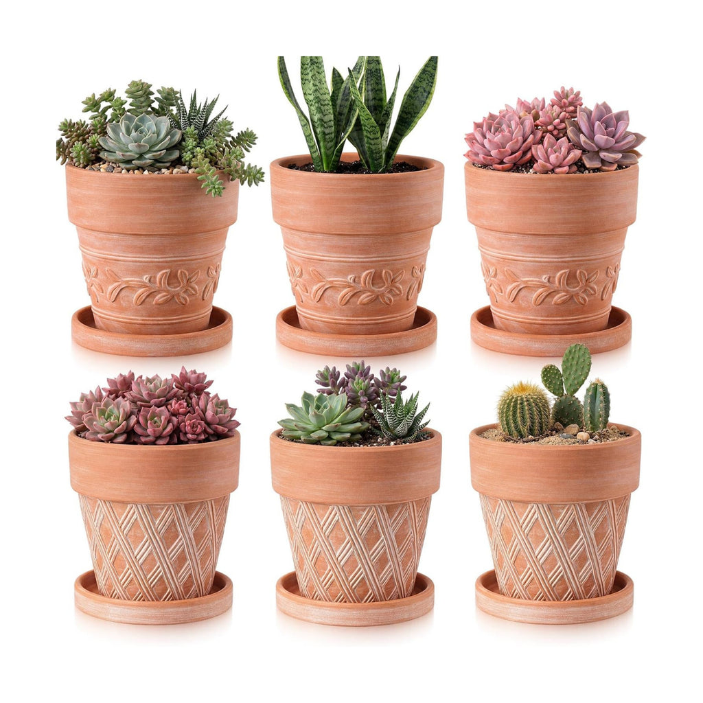 Set of 6 Embossed Succulent Pots 4" Small Terracotta Pots with Drainage Hole Saucer Mini Rustic Clay Succulent Planter
