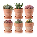 Set of 6 Embossed Succulent Pots 4" Small Terracotta Pots with Drainage Hole Saucer Mini Rustic Clay Succulent Planter