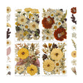 LUXEEASE 100P Vintage Warm Tone Dried Pressed Flowers