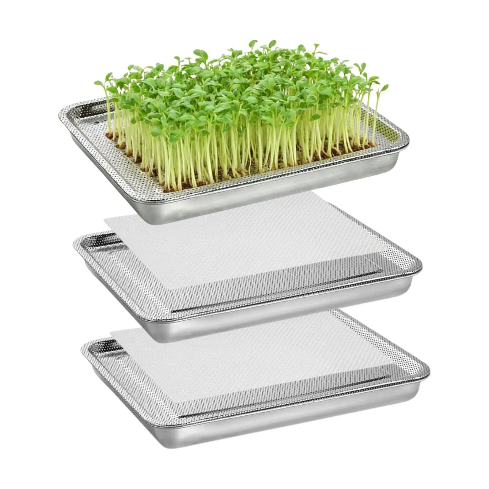Stainless Steel Sprouting Trays -3pack,Seed Sprouting Kit, Microgreens Growing Kit, Plant Germination Tray with Filter