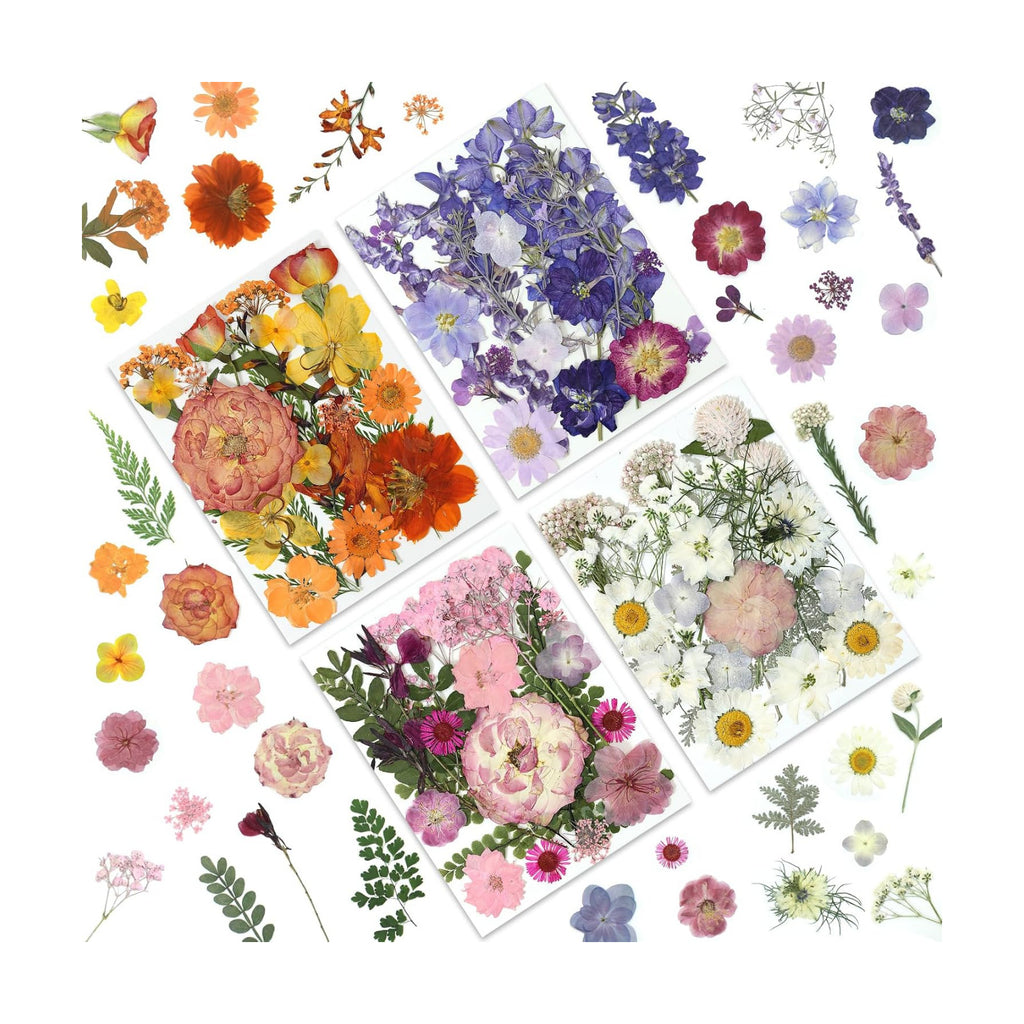 LUXEEASE 4-Color 80P Natural Dried Pressed Flowers
