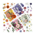 LUXEEASE 4-Color 80P Natural Dried Pressed Flowers