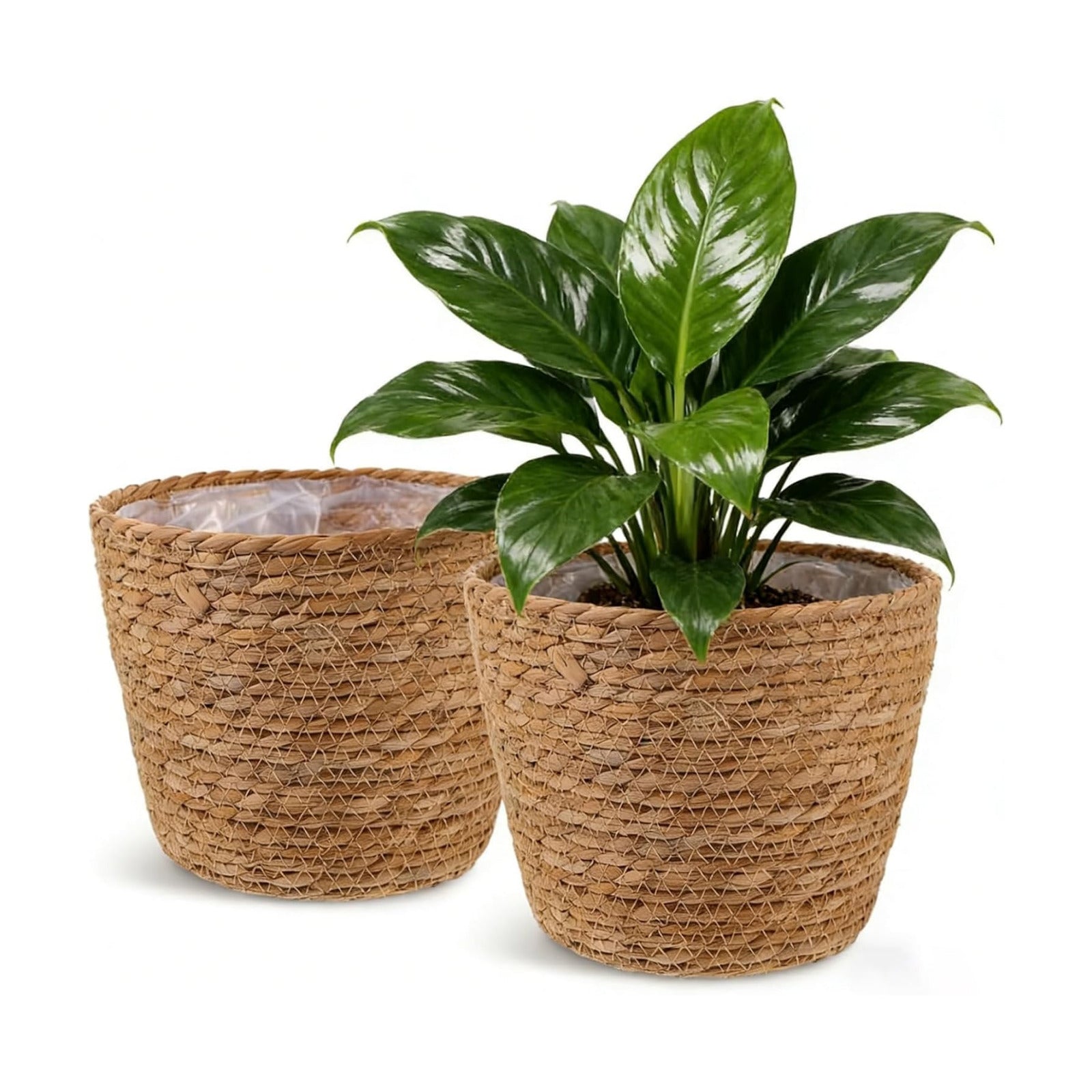 2PCS Seagrass Plant Basket for Indoor and Outdoor,Wicker Planter Basket with Liner for 6 inch Pot,Indoor Plant Pot