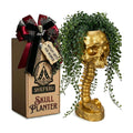 Skull Planter Spine Gothic Vase - Gold Spinal Skull Candy Bowl, Horror 11.6" Halloween Flower Vase Goth Decor, Spooky Home Decor Skeleton Planter Pot, Candle Holder, Spooky Gifts For Women, Girlfriend